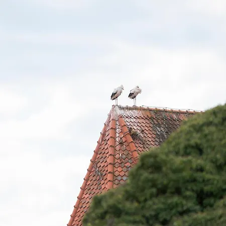 Namaste Homes - Mit Balkon & Carport * Bad Windsheim