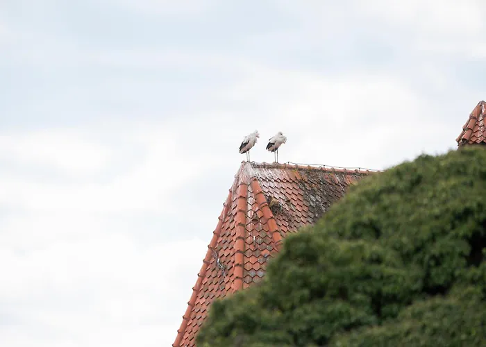 Namaste Homes - Mit Balkon & Carport * Bad Windsheim